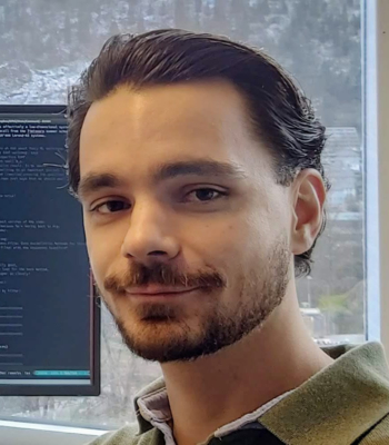 Patrick N. Raanes